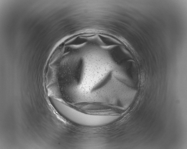 X0000080690854200701051058