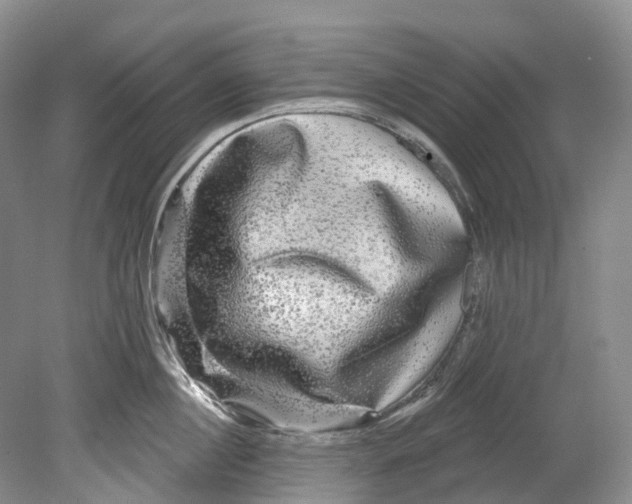X0000080690860200701051058