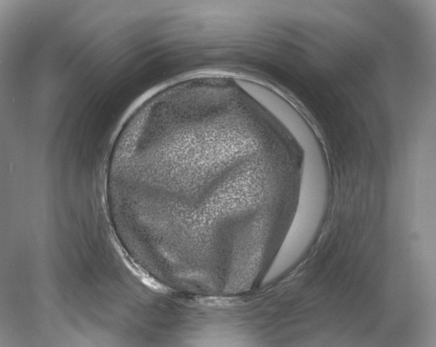 X0000080690862200701051058