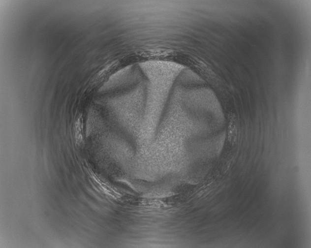 X0000080690866200701051057
