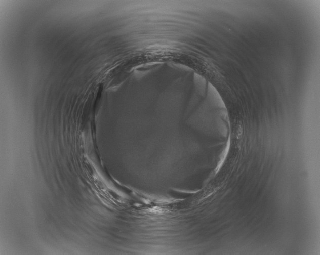 X0000080690868200701051057