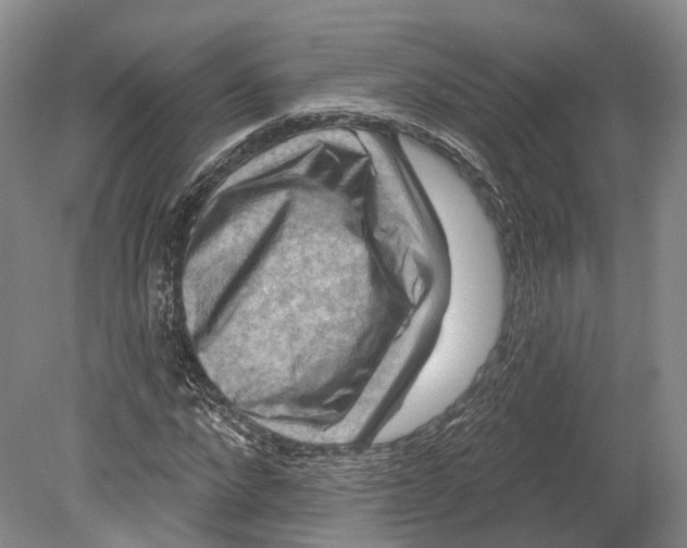 X0000080690872200701051057