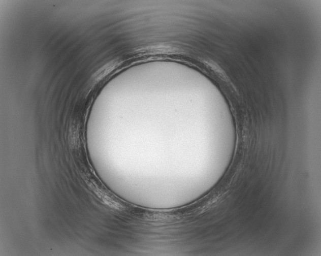 X0000080690873200701051057