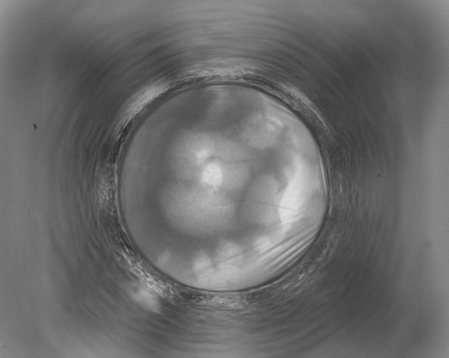 X0000080690874200701051057