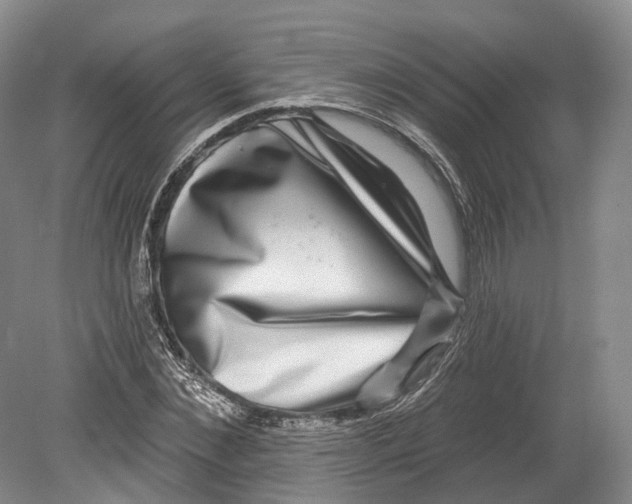 X0000080690876200701051057