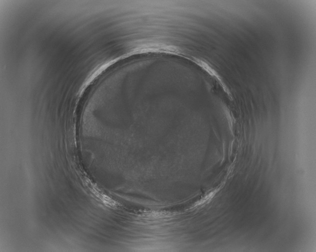 X0000080690877200701051057
