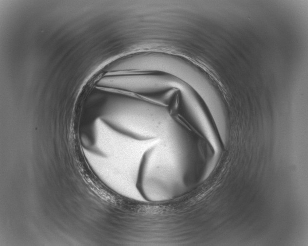 X0000080690880200701051057