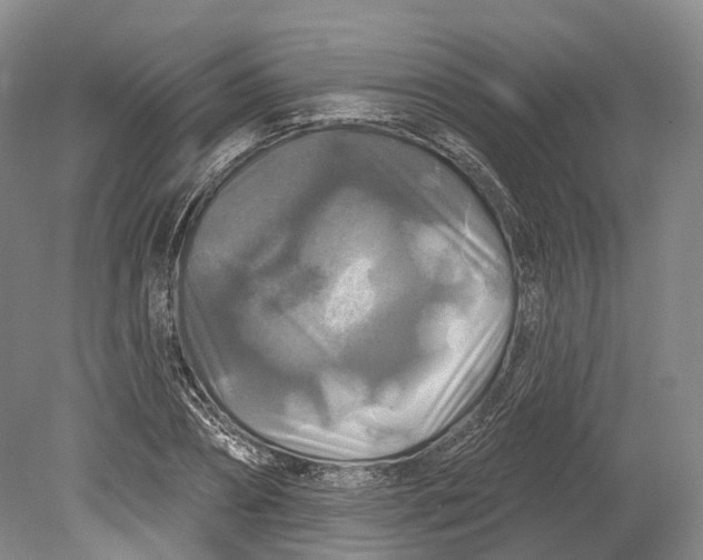 X0000080690882200701051057