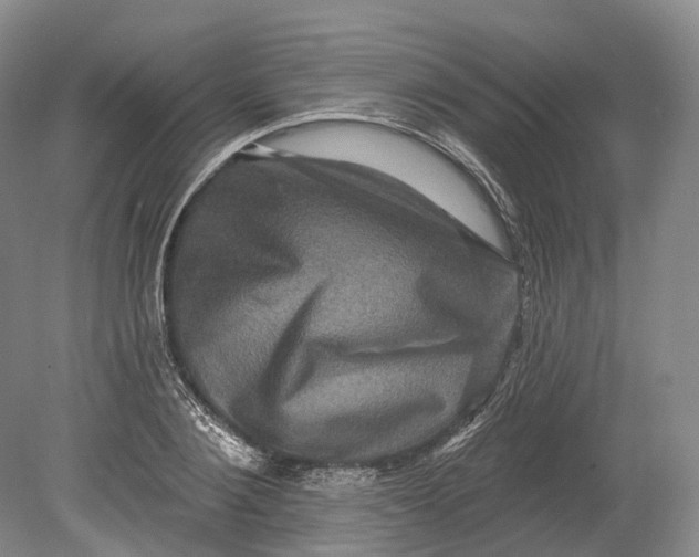 X0000080690884200701051057
