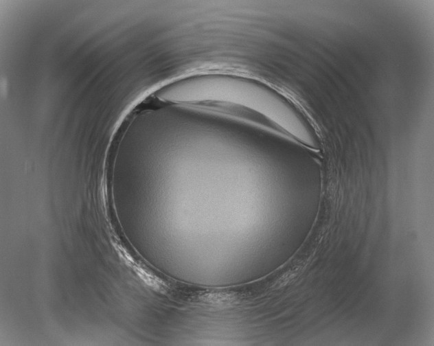 X0000080690888200701051057