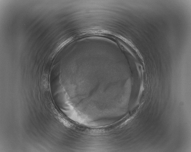 X0000080690889200701051057