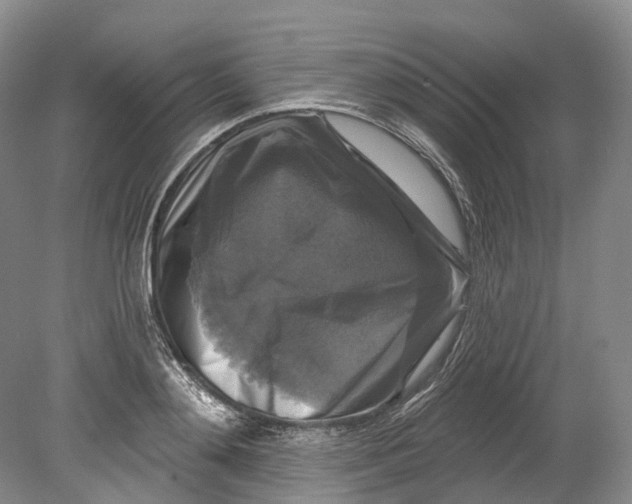 X0000080690892200701051057