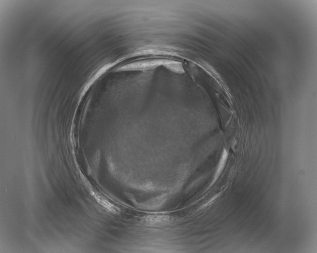 X0000080690893200701051057