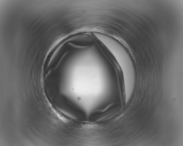X0000080690894200701051057