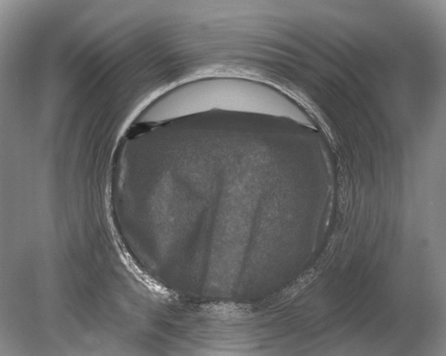 X0000080690896200701051057