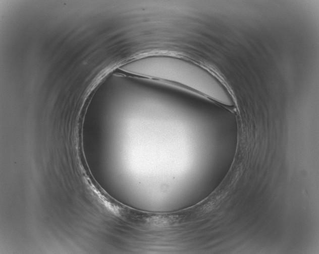 X0000080690898200701051057