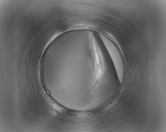 X0000080690899200701051057