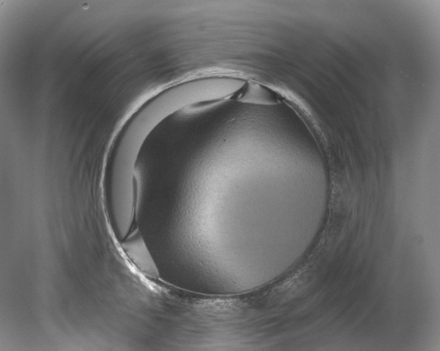 X0000080690902200701051057