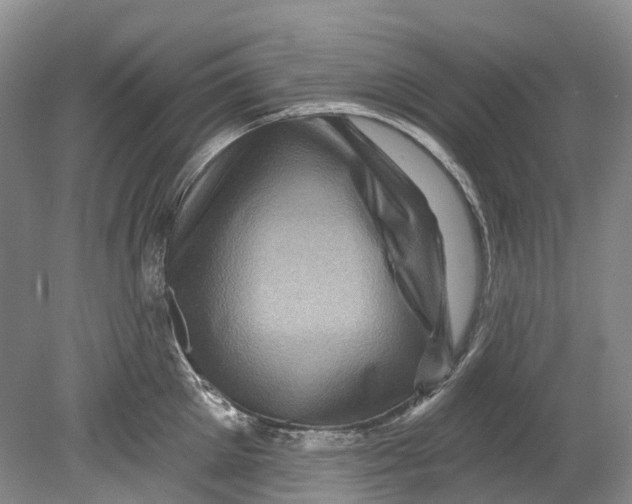X0000080690905200701051057