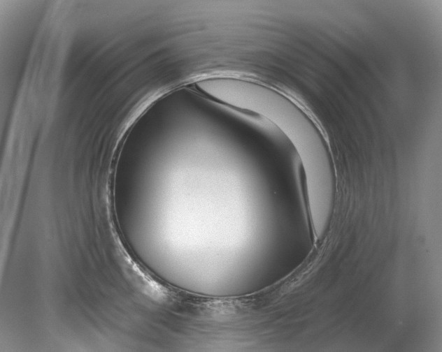 X0000080690906200701051057