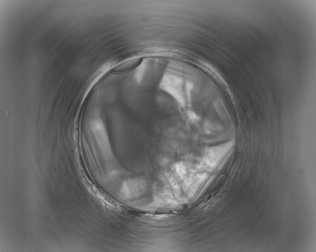 X0000080690907200701051057