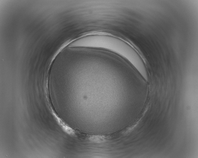 X0000080690909200701051057