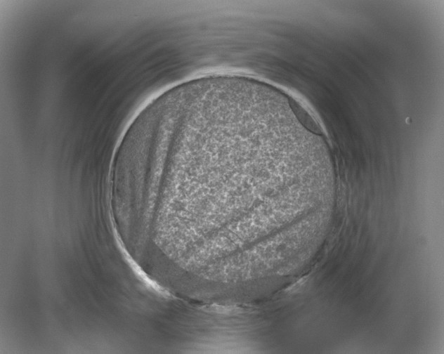 X0000080690911200701051057