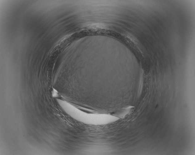 X0000080690919200701051056