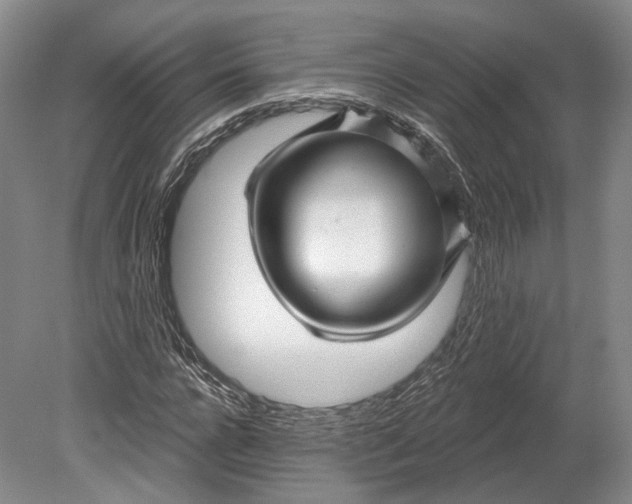 X0000080690920200701051056