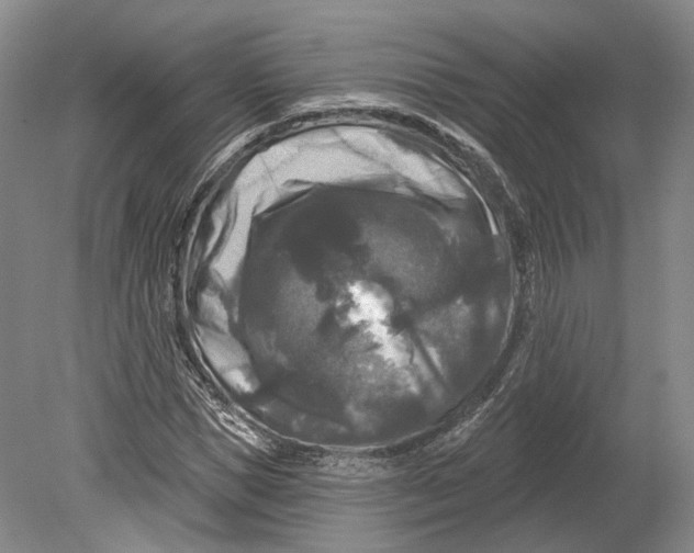 X0000080690921200701051056