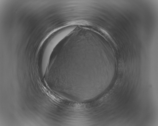 X0000080690923200701051056
