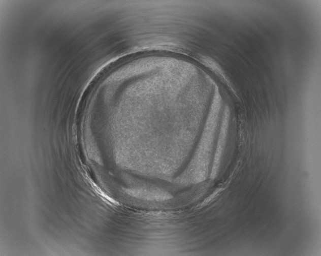 X0000080690924200701051056