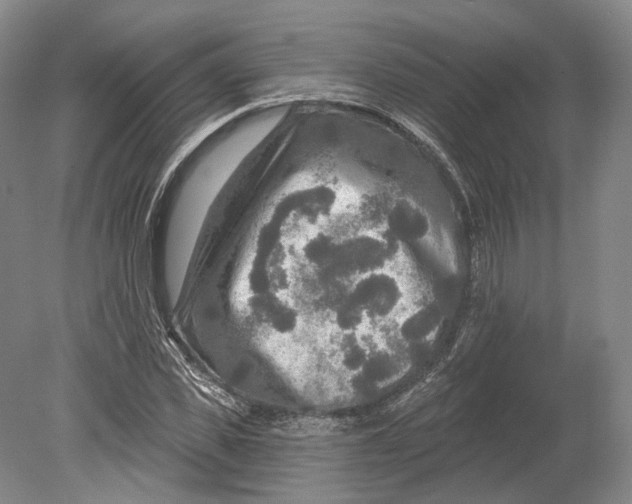 X0000080690925200701051056