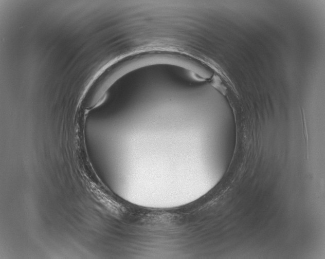 X0000080690926200701051056