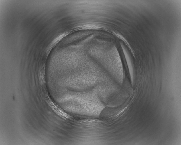 X0000080690930200701051056