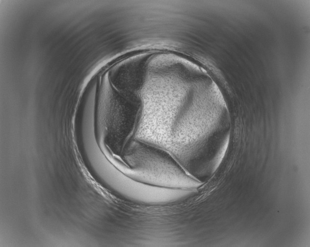 X0000080690936200701051056