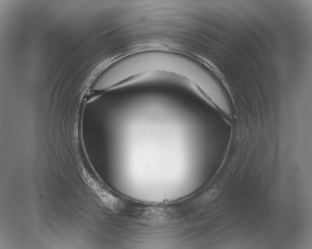 X0000080690938200701051056