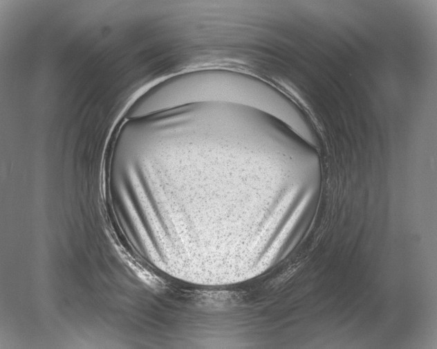 X0000080690940200701051056