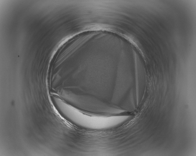 X0000080690943200701051056