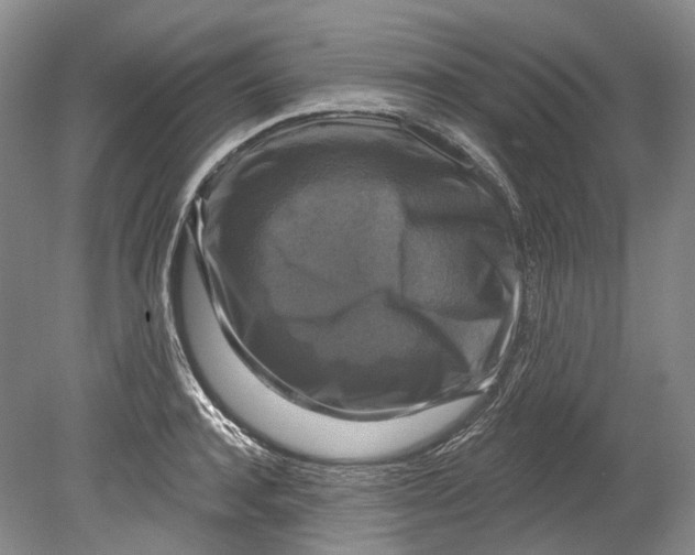 X0000080690944200701051056