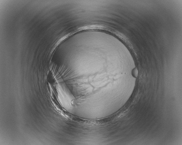 X0000080690945200701051056