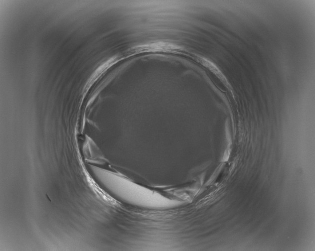 X0000080690946200701051056
