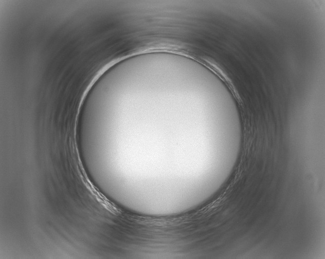 X0000080690948200701051056