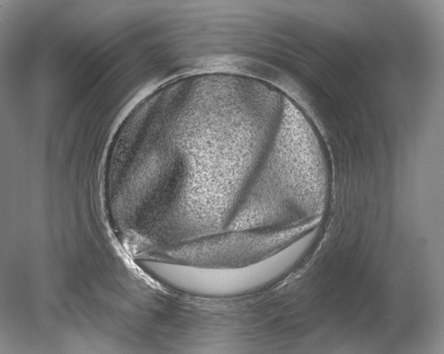 X0000080690949200701051056