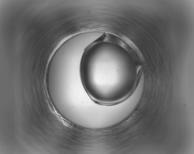 X0000080690956200701051057