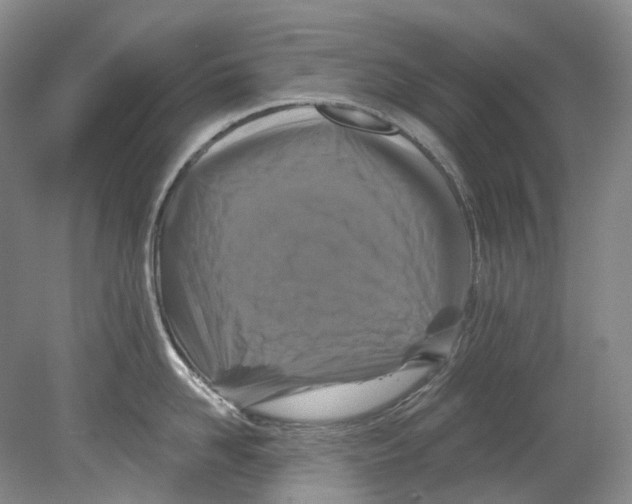 X0000080690958200701051057