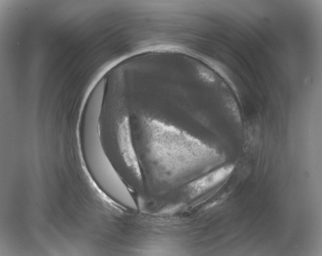 X0000080690959200701051057
