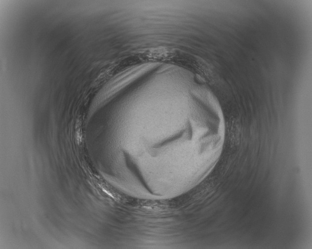 X0000080690962200701051056