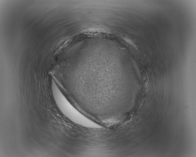X0000080690965200701051056