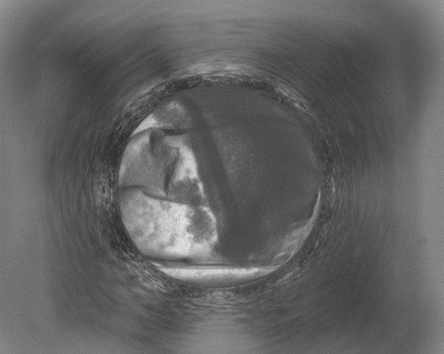 X0000080690966200701051056